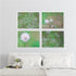 Florida Wildflowers Collection #1 - Set of 4 - Art Prints or Canvases